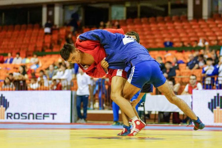 Brazilian JiuJitsu 101 Your Beginner's Guide To BJJ