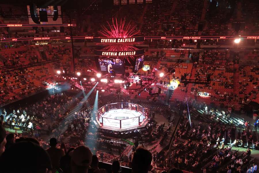 How Much UFC Tickets Cost? 2024 Guide 1