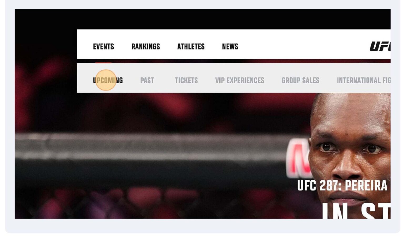 How Much UFC Tickets Cost? 2023 Guide